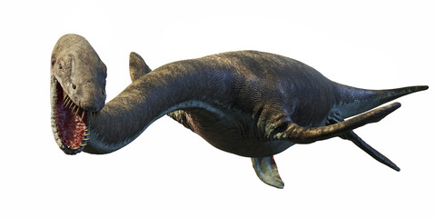 Elasmosaurus, genus of plesiosaur from the Late Cretaceous period, isolated on white background
