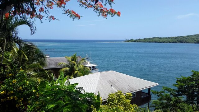 Roatán Bilder Durchsuchen 4,725 Archivfotos, und