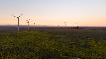 Fototapeta na wymiar General view of wind turbines in countryside landscape with cloudless sky