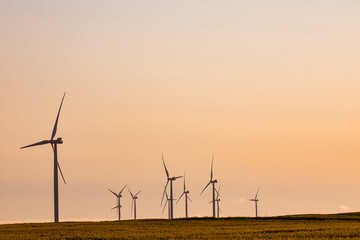 General view of wind turbines in countryside landscape during sunset