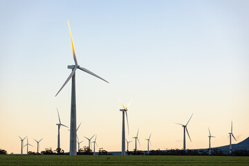 General view of wind turbines in countryside landscape with cloudless sky
