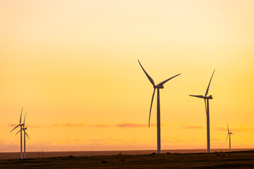 Obraz premium General view of wind turbines in countryside landscape during sunset