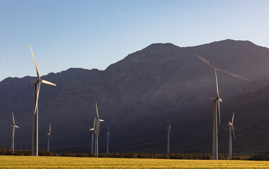 General view of wind turbines in countryside landscape with cloudless sky