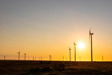 Obraz premium General view of wind turbines in countryside landscape during sunset