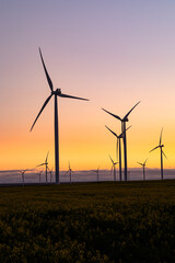 General view of wind turbines in countryside landscape during sunset