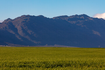 Fototapeta premium General view of countryside landscape with cloudless sky