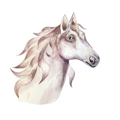 White Horse, mustang. Unicorn  Portrite. Watercolor. Digital art. Illustration. Template. Clipart. Flower arch, frame. Boho