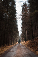 Obraz premium Walking in the darkened spruce forest along the old driveway, the man looks up and realizes how small and ephemeral he is compared to this wilderness. Hunched over. Outdoors adventure