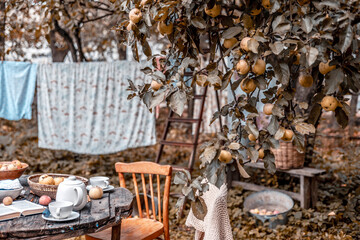 wooden table set for tea in the garden under an apple tree next to the ropes where the laundry is dried, cozy and comfortable autumn still life.