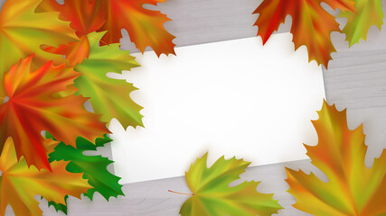 Autumn yellow, red and green maple leaves on a wooden background. Autumn poster with realistic autumn maple leaves and paper card. Vector illustration