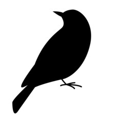 blue bird, vector illustration,  black silhouette, side