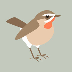 flycatcher  bird, flat style, vector illustration, side