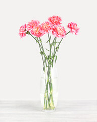 Bouquet of carnations in a glass vase on a gray background. Front view.