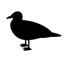 seagull bird, vector illustration,  black silhouette, side