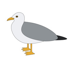seagull bird, vector illustration, flat style, side