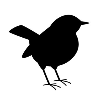 flycatcher  bird, black silhouette, vector illustration, side