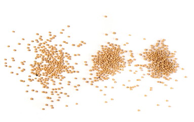 Set yellow mustard seeds isolated on white background, top view