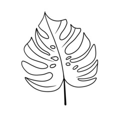 black and white leaf © Анастасия Галина