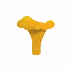 mushroom chanterelle