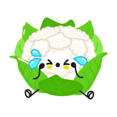 Cute sad and crying cauliflower character. Vector hand drawn cartoon kawaii character illustration icon. Isolated on white background. Cauliflower character concept