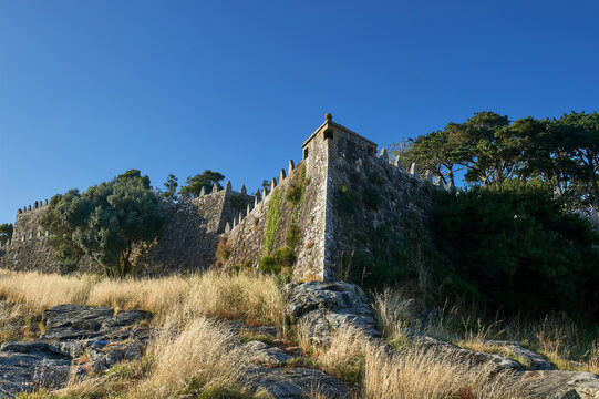 stone wall with battlements and sentry box surrounded by pine trees and vegetation in the fortress in baiona