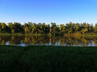 Fototapeta premium lake in the forest
