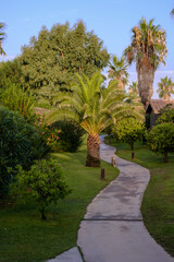 Fototapeta na wymiar Walkway path on a tropical resort landscape with green palm trees on a blue sky