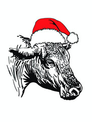 Vector portrait of cow in Santa Claus hat, new year illustration on white background, element for buchery in holidays