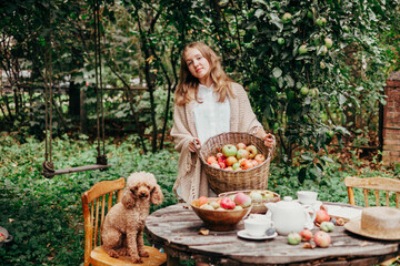 teenage girl is standing in garden with a basket full of ripe apples with poodle dog near table set for teatime, concept of picking fruit and harvest on farm