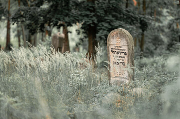 kirkut, cemetery, karczew, Jewish cemetery, Jewish cemetery in karczew, abandoned cemetery, faith, religion