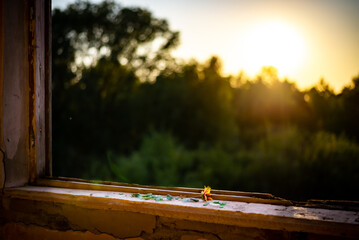 Yellow flower on an old windowsill in the rays of the sun