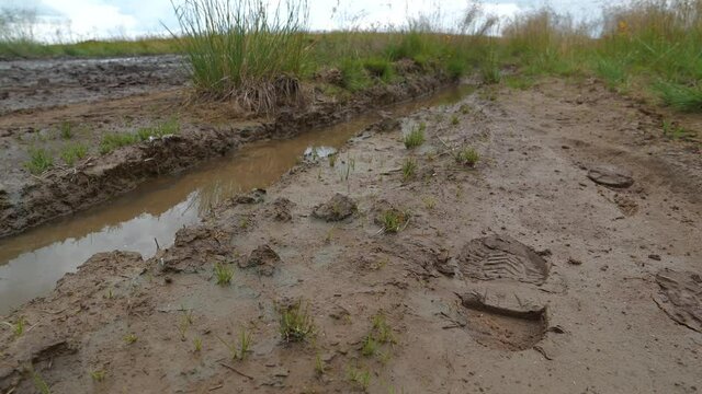 Shoe footprints and puddles on dirt road after rain