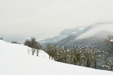 Zimowy krajobraz górski. Rozproszone światło, w dole zielone drzewa. Płatki śniegu, Śnieżyca - obrazy, fototapety, plakaty