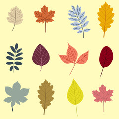 Hand drawn autumn leaves. Set of vector autumn leaves stickers.  Hand drawn elements. Botanical leaves, flower. Seasonal banner. September fall. October party. Autumn stickers. Vector illustration.