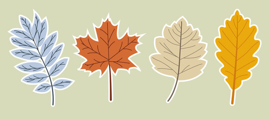Obraz premium Hand drawn autumn leaves. Set of vector autumn leaves stickers. Hand drawn elements. Botanical leaves, flower. Seasonal banner. September fall. October party. Autumn stickers. Vector illustration.