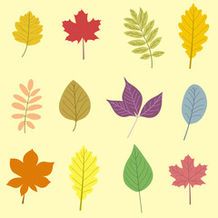 Set of vector autumn leaves stickers. Hand drawn autumn leaves. Hand drawn elements. Botanical leaves, flower. Seasonal banner. September fall. October party. Autumn stickers. Vector illustration.