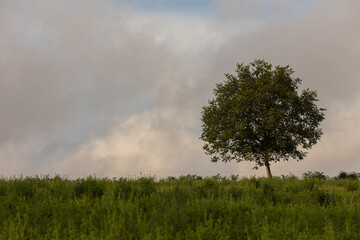 Beautiful Nature in Occitanie