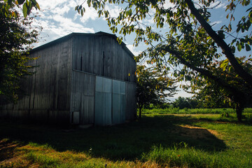 Une vieille grange agricole en fer. Une ancienne grange dans un champ.