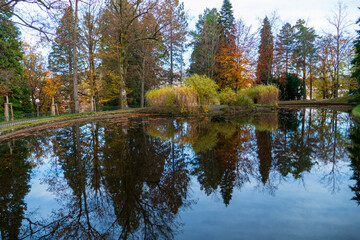 Fototapeta na wymiar Solmsee in Baden-Baden, im Herbst, Bäume spiegeln sich im Wasser