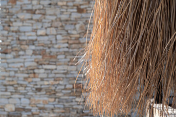 Dried Palm Tree Leaves on stone wall background