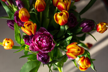 bouquet of tulips under sunlight top view