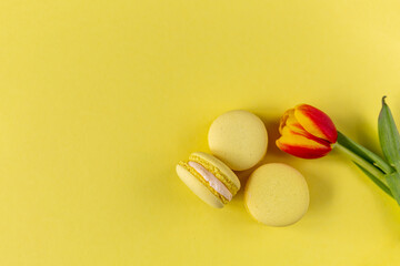 Fototapeta na wymiar Yellow macarons on a yellow background with a tulip