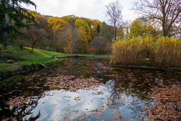 Solmsee in Baden-Baden, im Herbst, Bäume spiegeln sich im Wasser