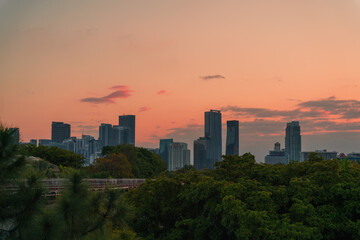 Fototapeta na wymiar city skyline at sunset Miami Florida usa beautiful