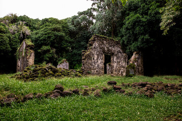Antique remains of an old Hawaiian home still standing in the forest