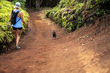 Blonde woman going on a hiking adventure with small black puppy