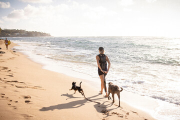 Outdoorsy woman walking two dogs along the sea shore in Honolulu
