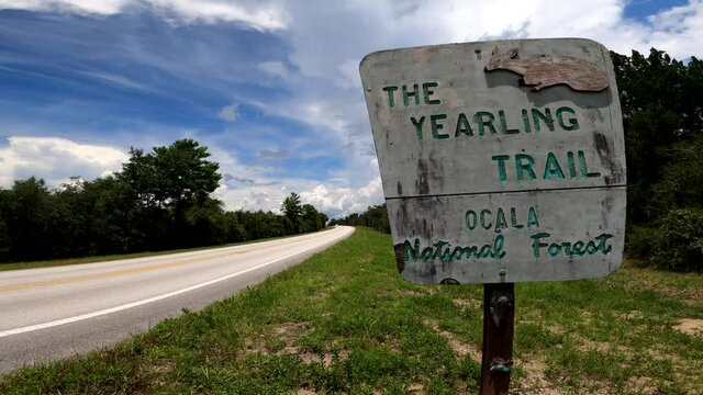 Sign to the Yearling trail at the Ocala National Forest