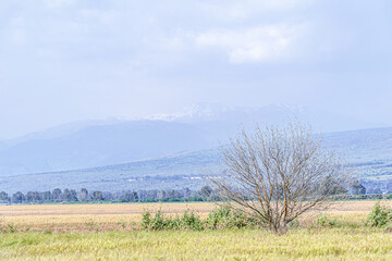rural landscape with mountains in the background on a rainy day
