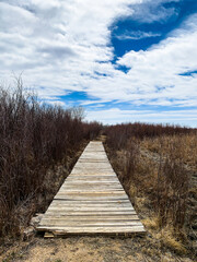 peaceful wooden foothpath on sunny riverside trail in the country